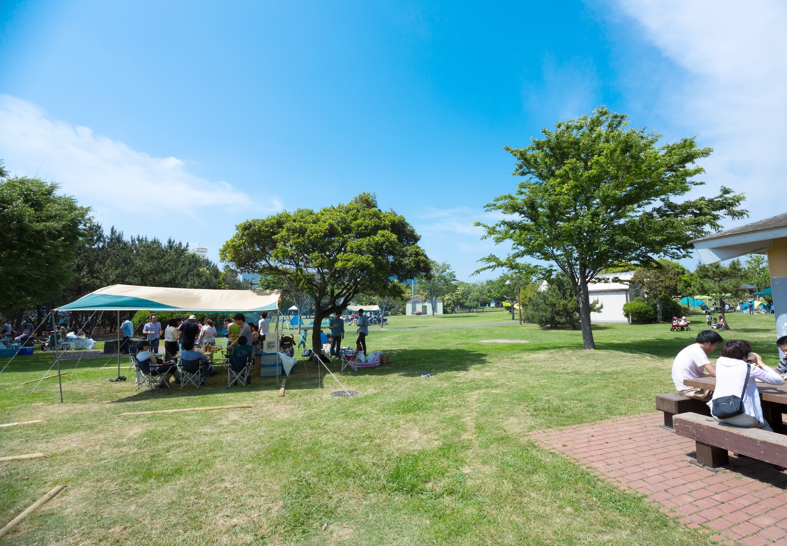 夏は外出する機会が多い